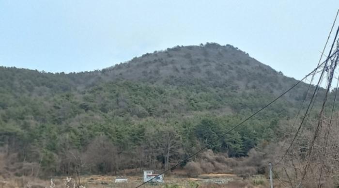 2024타경1226 법원경매 사진5 | 경남 거제시 토지 경매