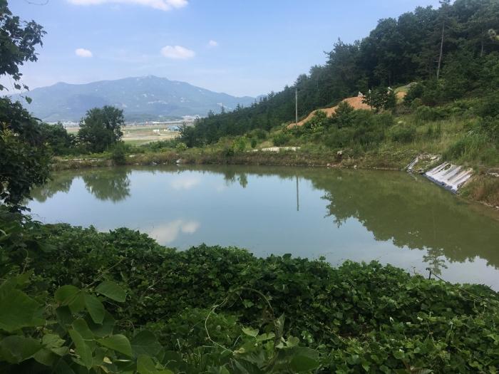 전라남도 해남군 현산면 월송리 1382-2 법원경매 물건 대표사진