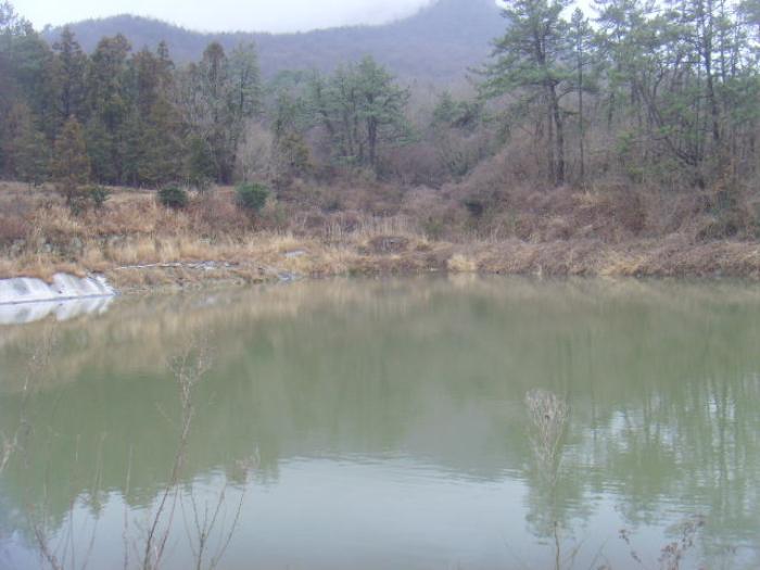 2024타경50790 법원경매 사진19 | 전남 해남군 기타 경매