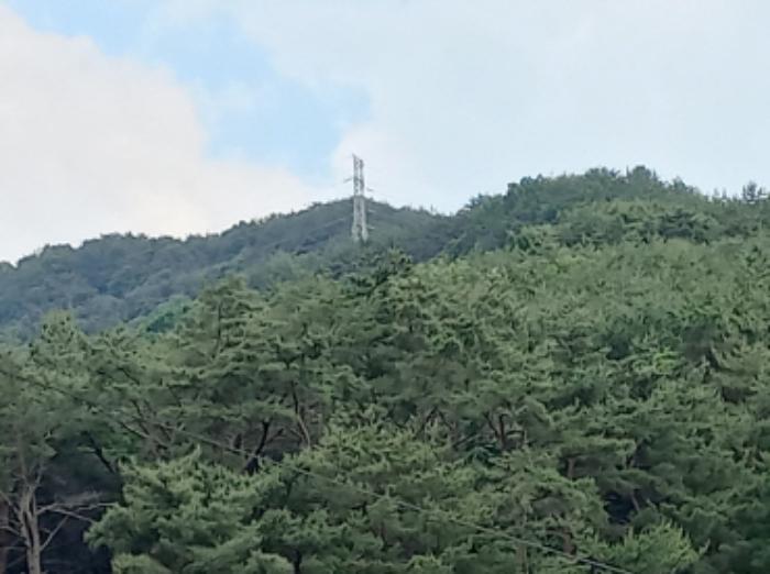 2024타경31378 법원경매 사진8 | 경남 사천시 토지 경매