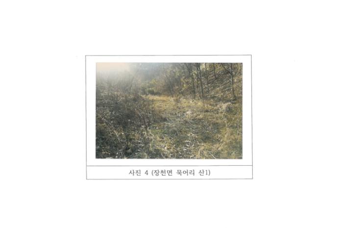 법원경매 2024타경77 사진14 | 구미시 장천면 묵어리 토지 경매