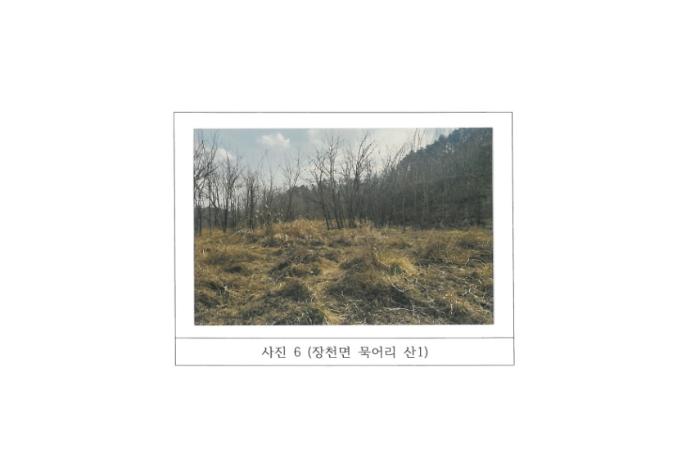 법원경매 2024타경77 사진16 | 구미시 장천면 묵어리 토지 경매