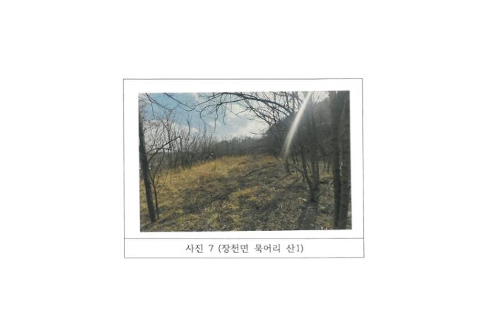 법원경매 2024타경77 사진17 | 구미시 장천면 묵어리 토지 경매