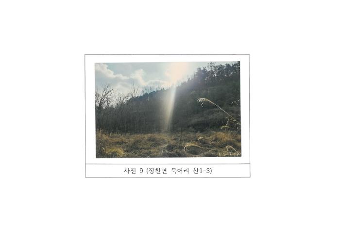 법원경매 2024타경77 사진19 | 구미시 장천면 묵어리 토지 경매