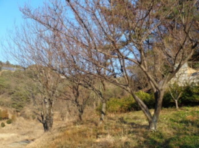 2022타경37075 법원경매 사진8 | 경남 남해군 토지 경매