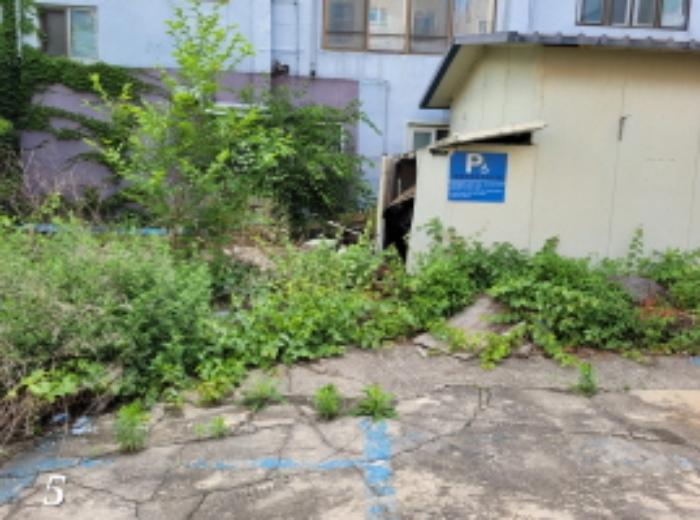 법원경매 2023타경2447 사진20 | 양평군 양서면 양수리 559-21 근린시설 경매