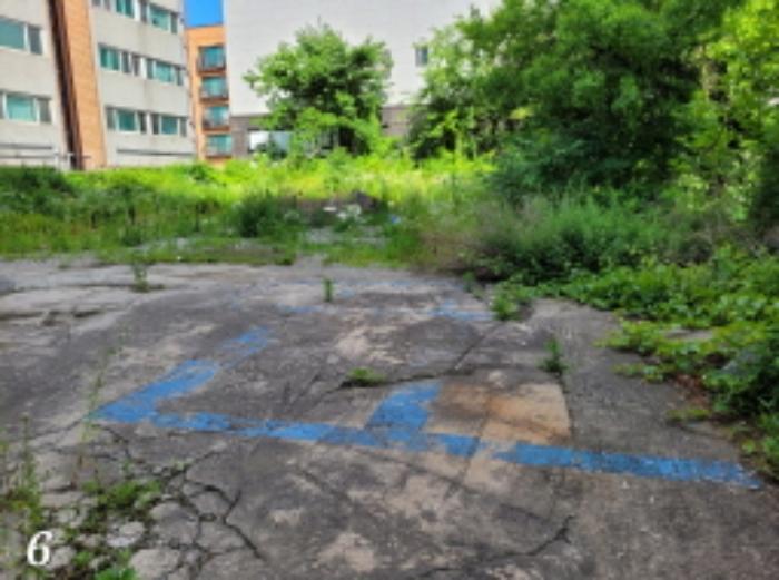 법원경매 2023타경2447 사진22 | 양평군 양서면 양수리 559-21 근린시설 경매