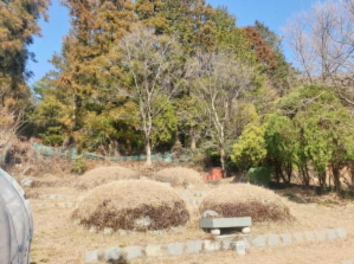 법원경매 2024타경51967 사진11 | 여수시 미평동 826-6 토지 경매