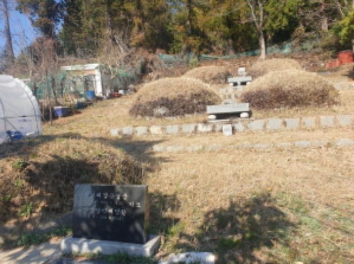 법원경매 2024타경51967 사진7 | 여수시 미평동 826-6 토지 경매