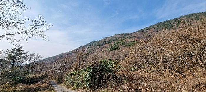 경상남도 남해군 남면 당항리 산53 법원경매 물건 대표사진