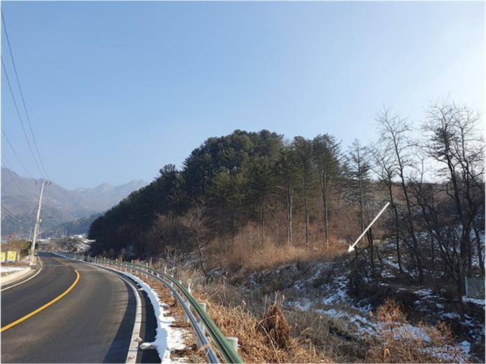 법원경매 2023타경5417 사진4 | 가평군 조종면 마일리 토지 경매