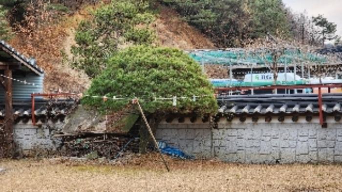 2023타경7125 법원경매 사진35 | 충북 제천시 근린시설 경매