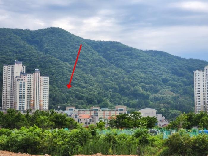 2024타경24755 법원경매 사진2 | 경남 거제시 토지 경매