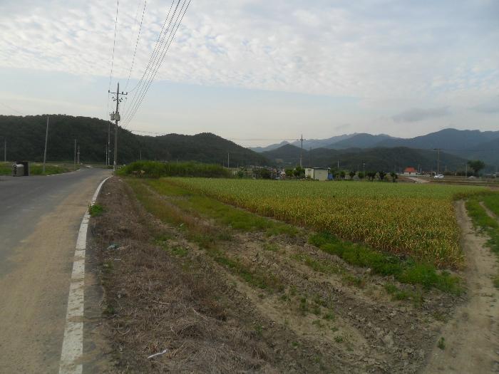 2023타경588 법원경매 사진3 | 경남 창녕군 공장 경매