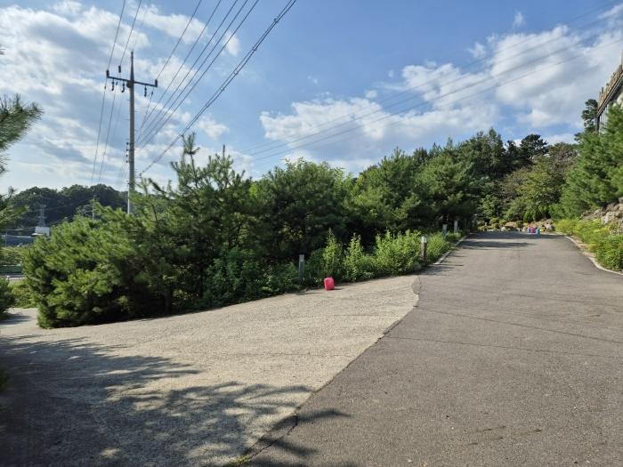 경상북도 성주군 성주읍 삼산리 산29-2 법원경매 물건 대표사진