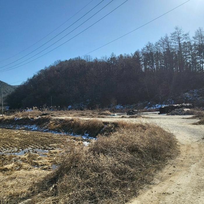 경상북도 구미시 장천면 금산리 336 법원경매 물건 대표사진
