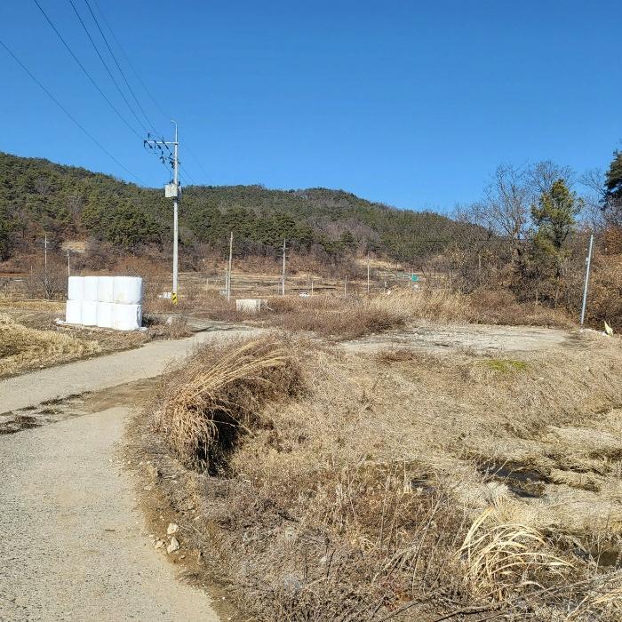 법원경매 2024타경10197 사진16 | 구미시 장천면 금산리 336 토지 경매