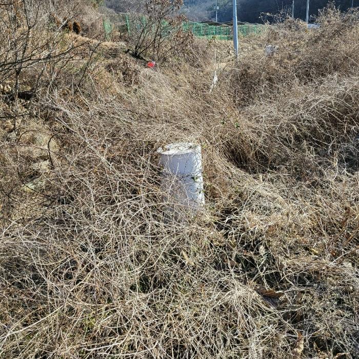 법원경매 2024타경10197 사진17 | 구미시 장천면 금산리 336 토지 경매