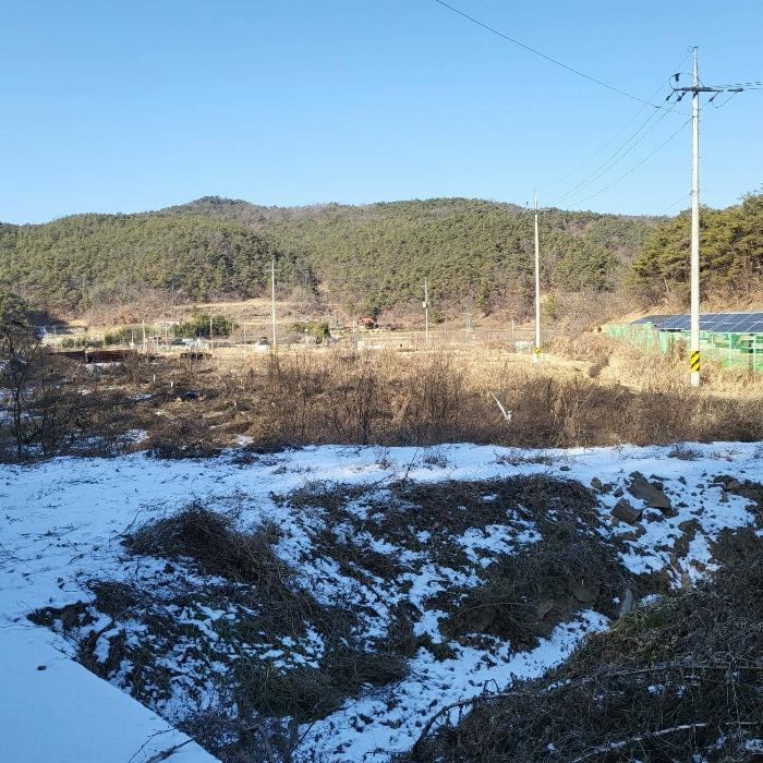 법원경매 2024타경10197 사진2 | 구미시 장천면 금산리 336 토지 경매