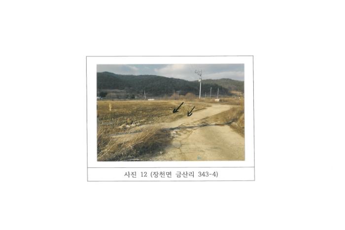 법원경매 2024타경10197 사진29 | 구미시 장천면 금산리 336 토지 경매