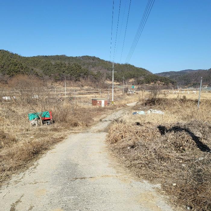 법원경매 2024타경10197 사진3 | 구미시 장천면 금산리 336 토지 경매