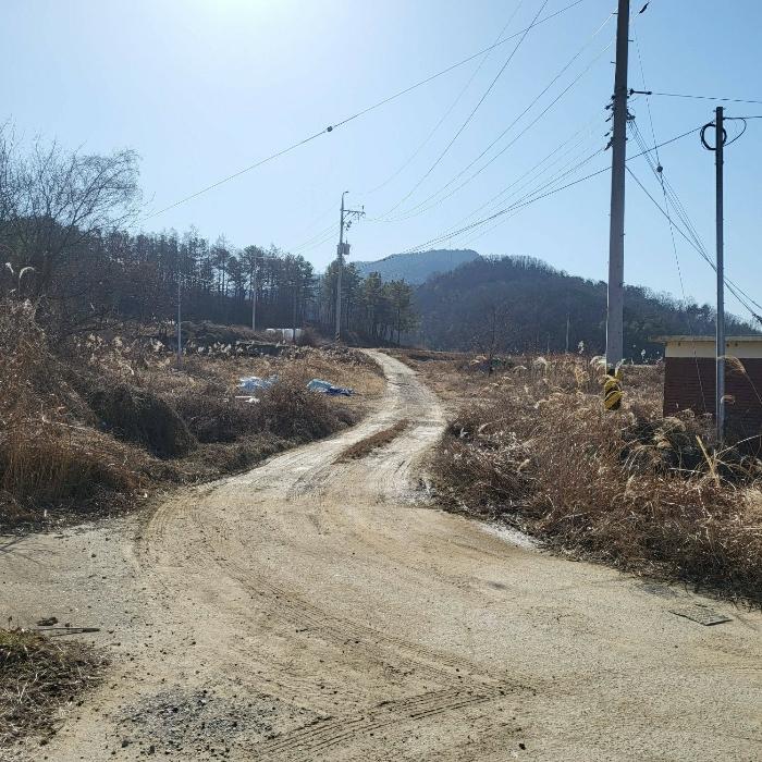 법원경매 2024타경10197 사진9 | 구미시 장천면 금산리 336 토지 경매