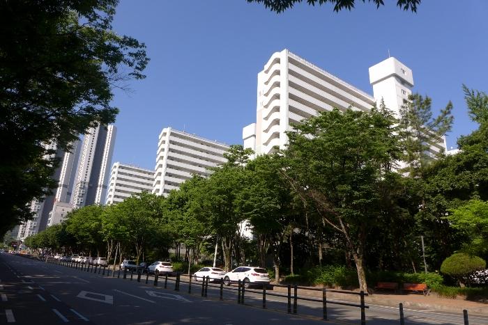 대구광역시 수성구 고산로 123, 103동 5층507호 (매호동,하나타운) · 지번주소: 대구광역시 수성구 매호동 1331 법원경매 물건 대표사진