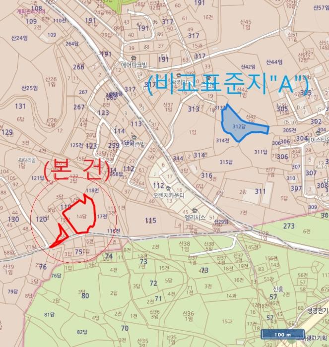 법원경매 2024타경41220 사진19 | 평택시 팽성읍 토지 경매