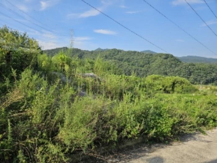 2023타경33053 법원경매 사진72 | 충북 충주시 토지 경매