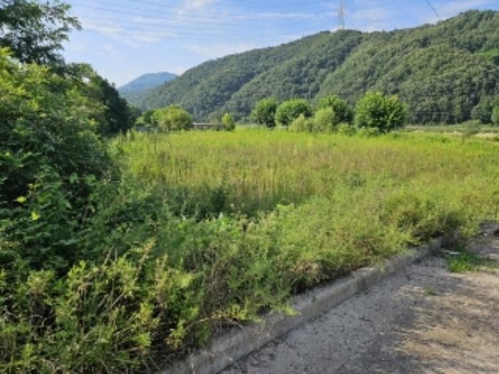 2023타경33053 법원경매 사진75 | 충북 충주시 토지 경매