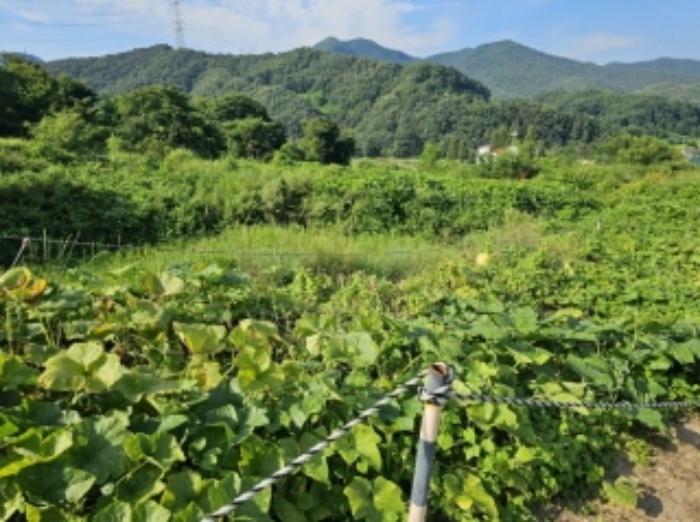 2023타경33053 법원경매 사진77 | 충북 충주시 토지 경매