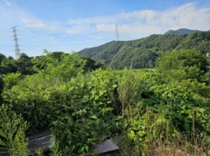 2023타경33053 법원경매 사진79 | 충북 충주시 토지 경매