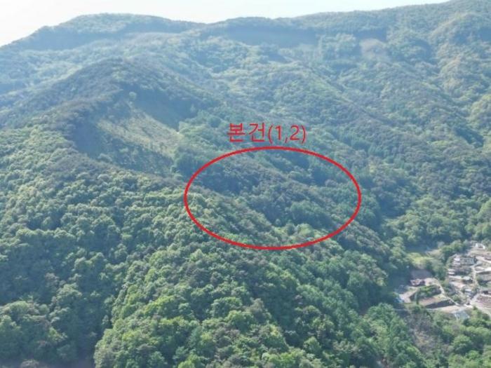 2024타경572 법원경매 사진2 | 충북 단양군 토지 경매
