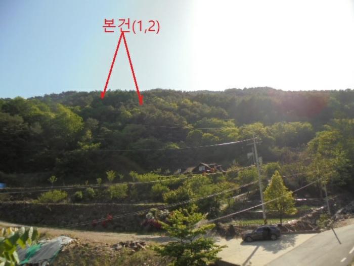 2024타경572 법원경매 사진4 | 충북 단양군 토지 경매