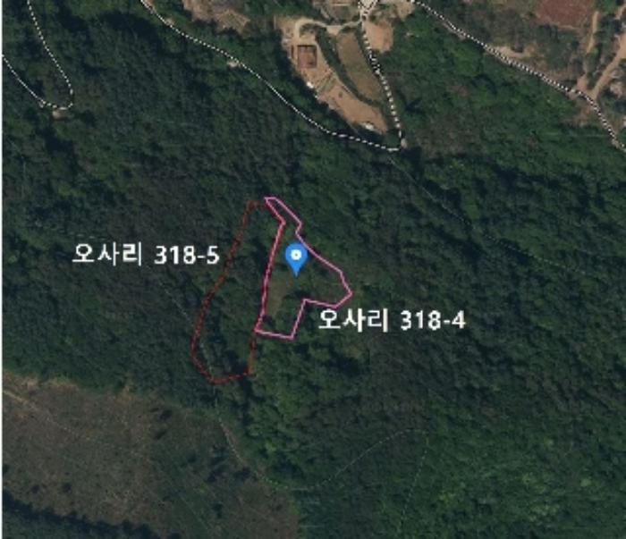 2024타경572 법원경매 사진6 | 충북 단양군 토지 경매