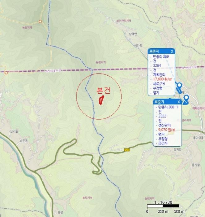 2024타경5959 법원경매 사진10 | 충북 단양군 토지 경매