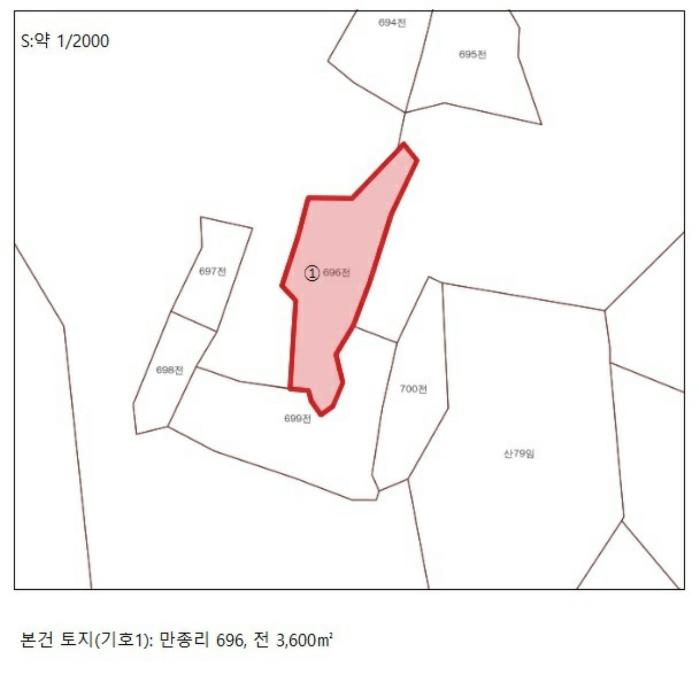 2024타경5959 법원경매 사진11 | 충북 단양군 토지 경매