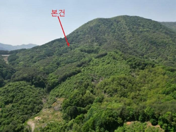 2024타경5959 법원경매 사진2 | 충북 단양군 토지 경매