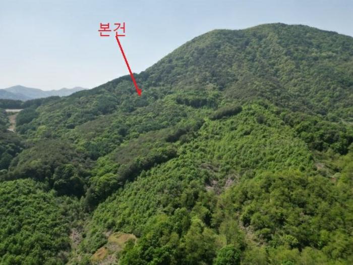 2024타경5959 법원경매 사진3 | 충북 단양군 토지 경매