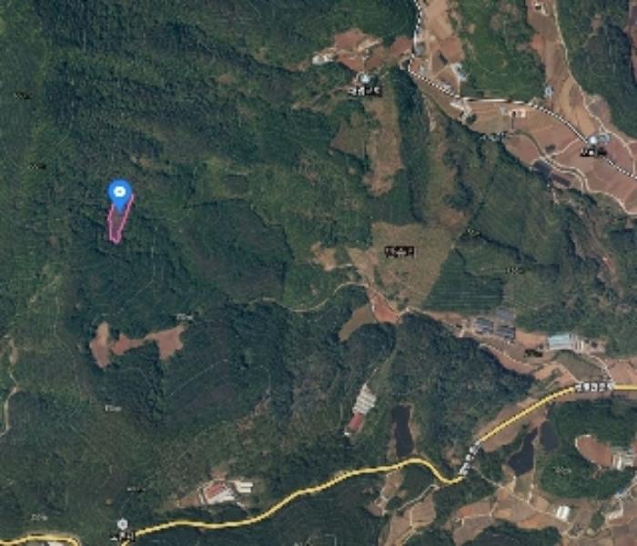 2024타경5959 법원경매 사진5 | 충북 단양군 토지 경매