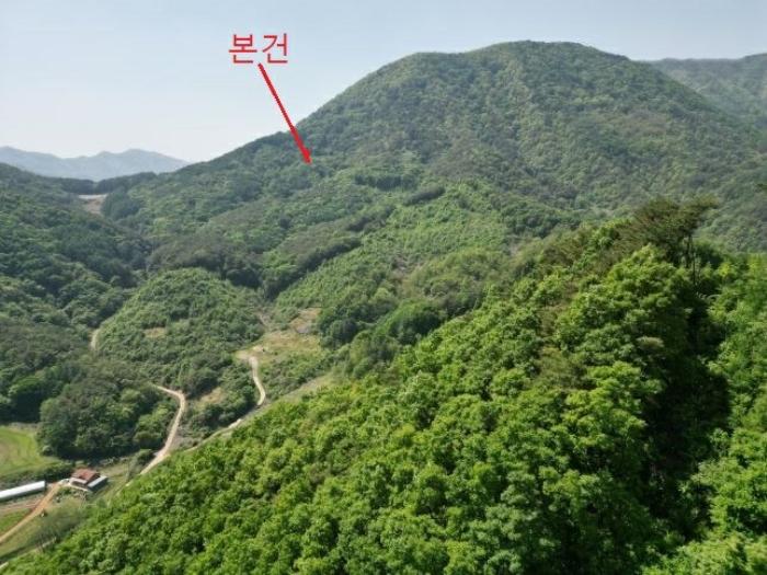2024타경5959 법원경매 사진7 | 충북 단양군 토지 경매