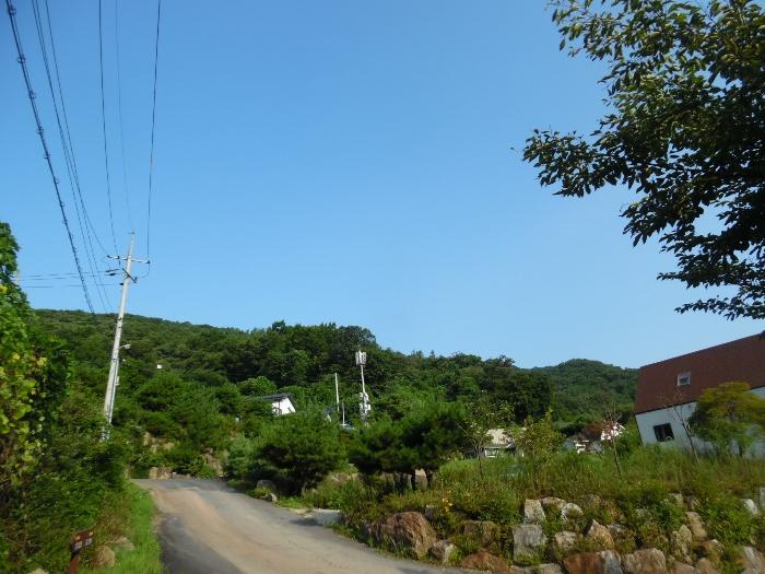 경기도 양평군 강하면 동오리 771-14 법원경매 물건 대표사진