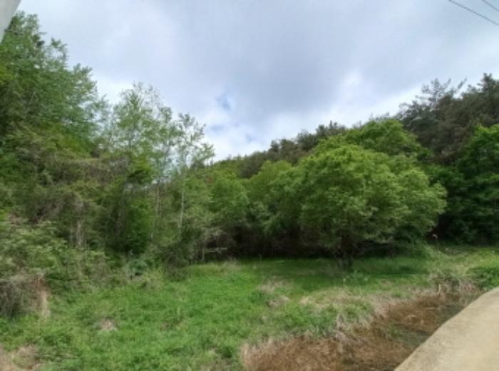 2024타경2271 법원경매 사진14 | 경남 사천시 토지 경매