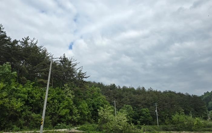 2024타경2271 법원경매 사진4 | 경남 사천시 토지 경매