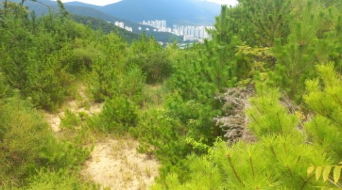 2024타경27655 법원경매 사진5 | 경남 거제시 토지 경매