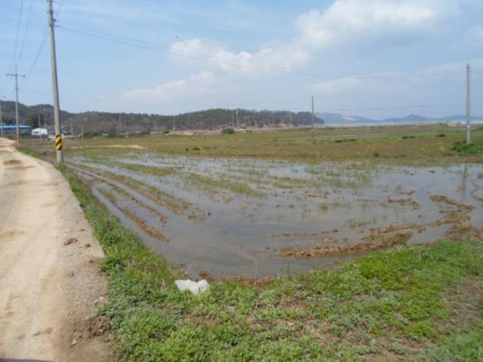 2024타경924 법원경매 사진2 | 전남 진도군 종교시설 경매