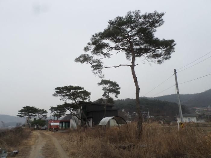 2024타경31078 법원경매 사진6 | 충북 충주시 주택건물 경매