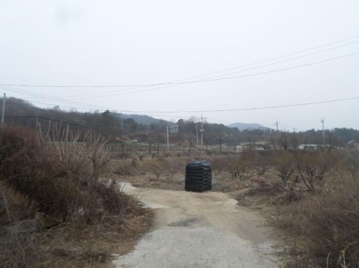 2024타경31078 법원경매 사진8 | 충북 충주시 주택건물 경매