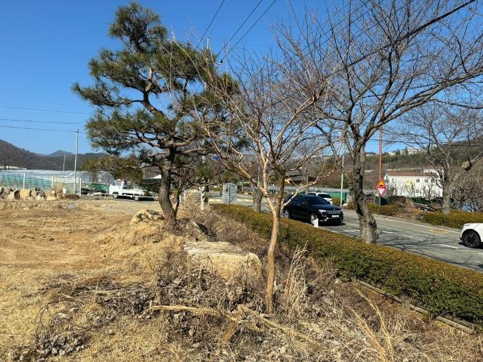 2024타경615 법원경매 사진5 | 부산 기장군 토지 경매