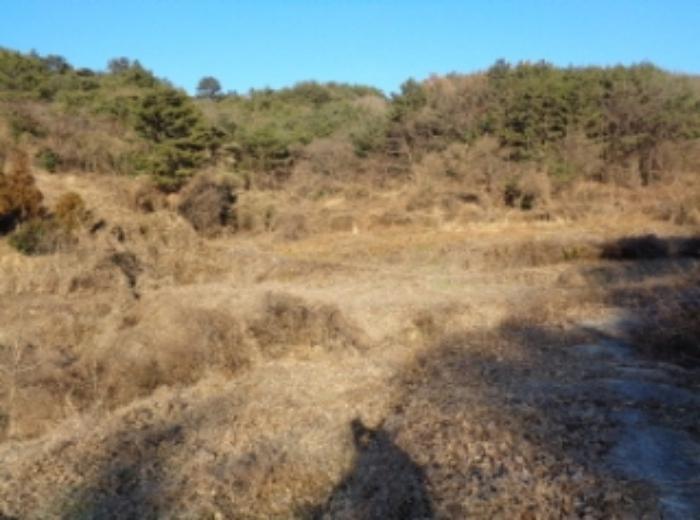 경남 남해군 서면 정포리 888 답 사진 5